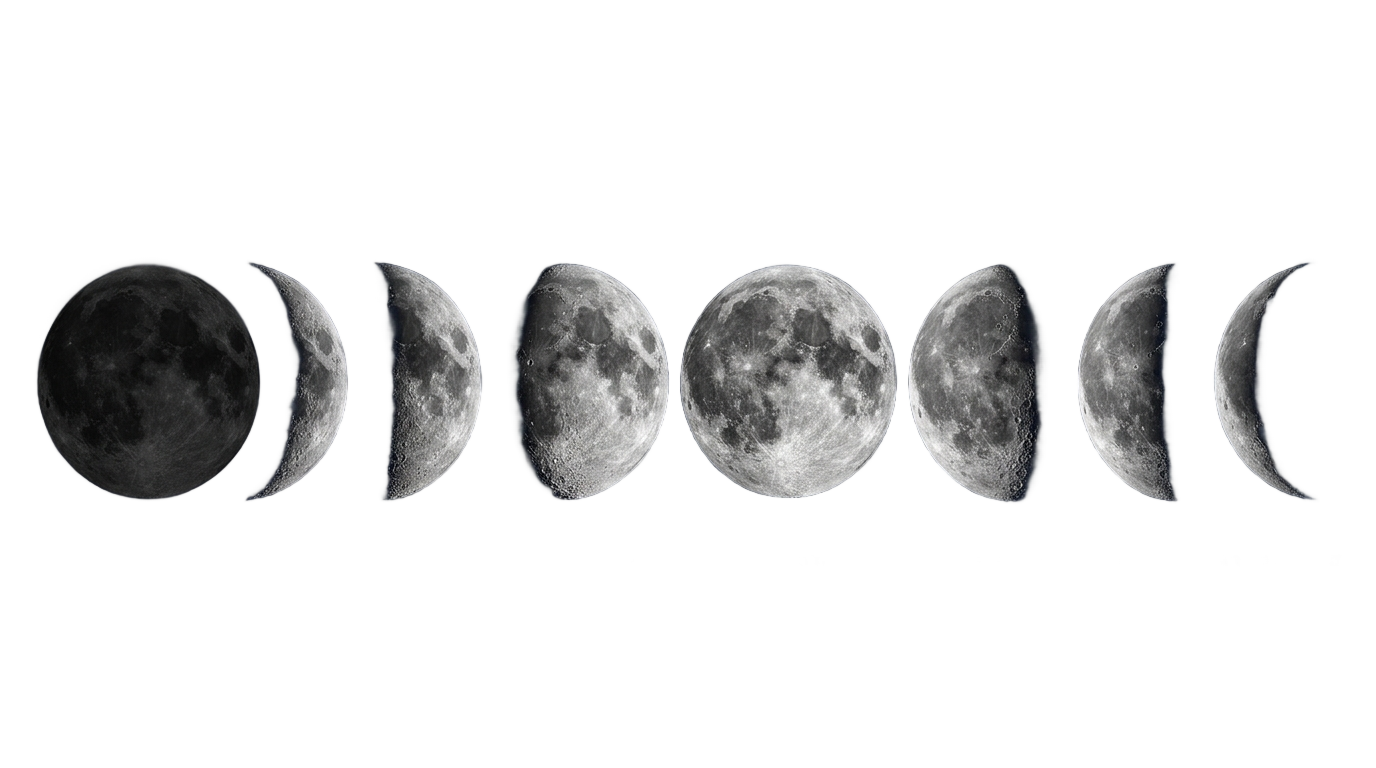 moon phases vector png PNG transparent background
