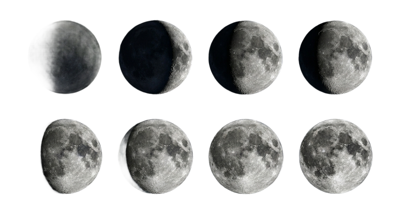 moon phases vector png PNG transparent background