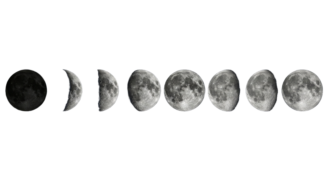 moon phases vector png PNG transparent background