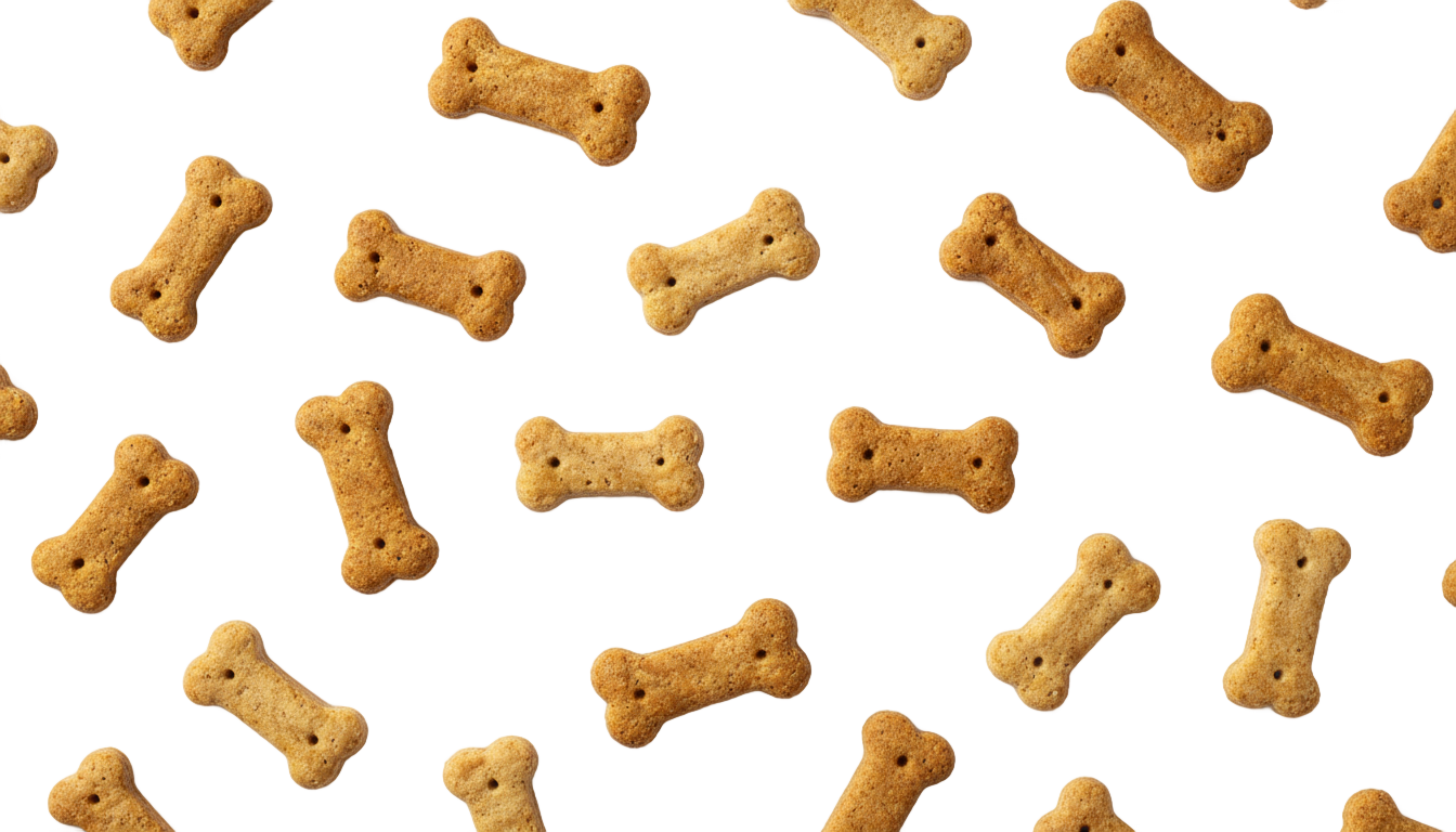 dog treats png PNG transparent background