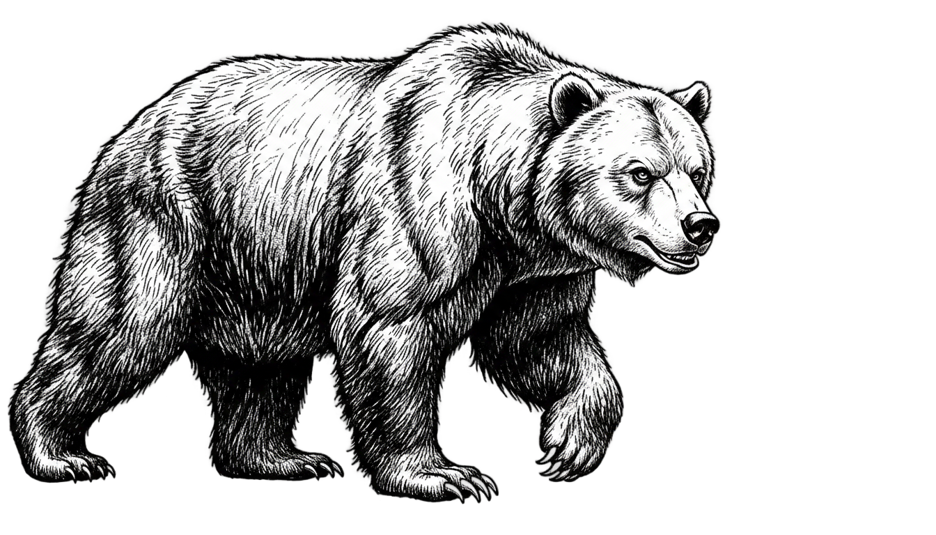 bear png black and white PNG transparent background