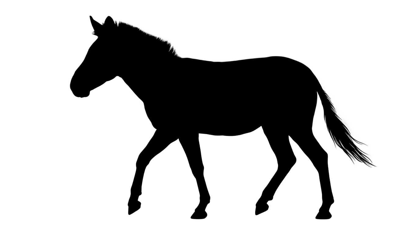zebra silhouette png PNG transparent background