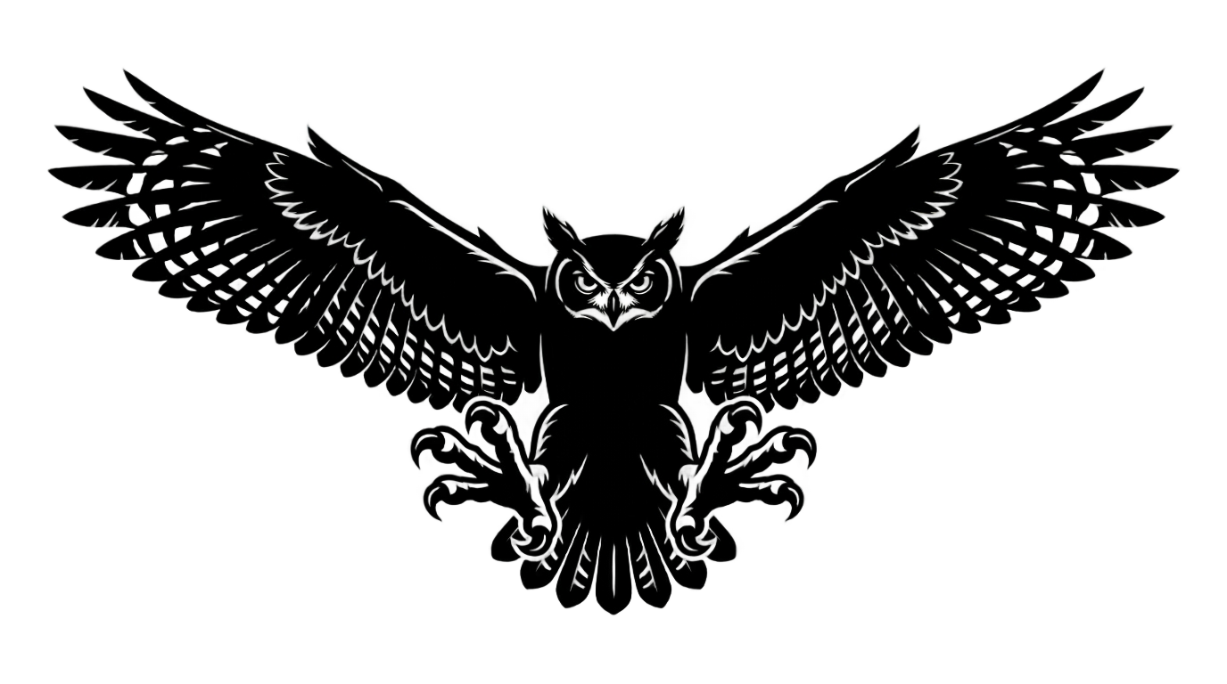 flying owl silhouette png PNG transparent background