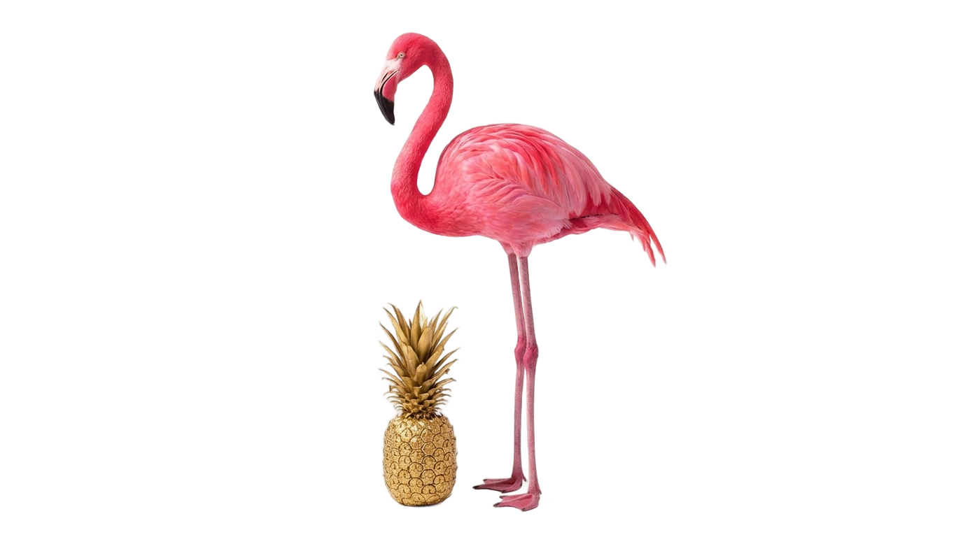 flamingo e abacaxi png PNG transparent background