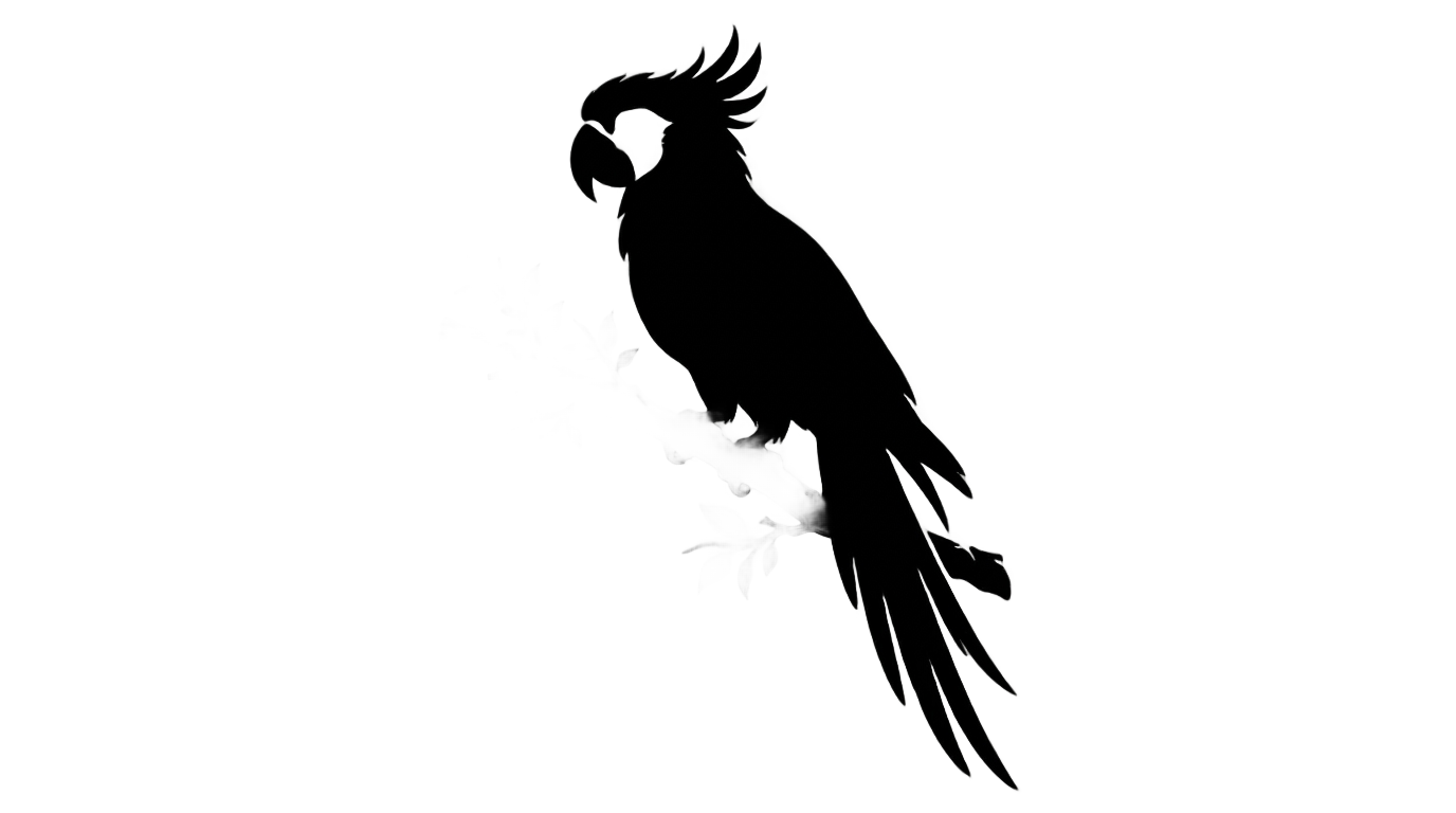 parrot silhouette png PNG transparent background