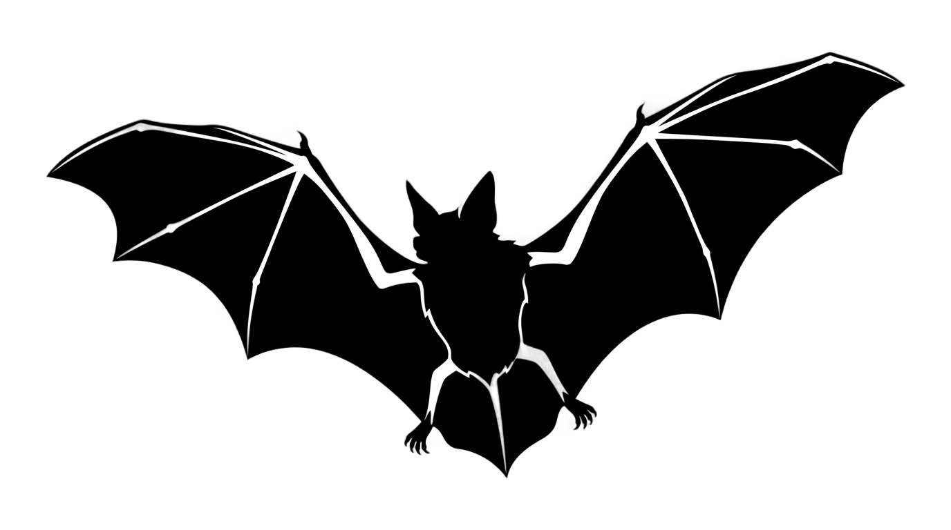 bat graphic png PNG transparent background