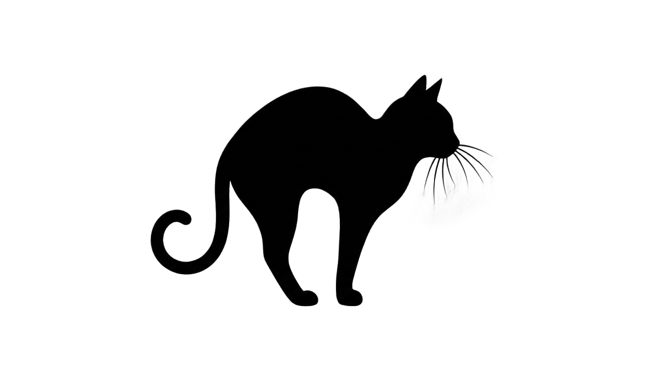 black cat silhouette png PNG transparent background