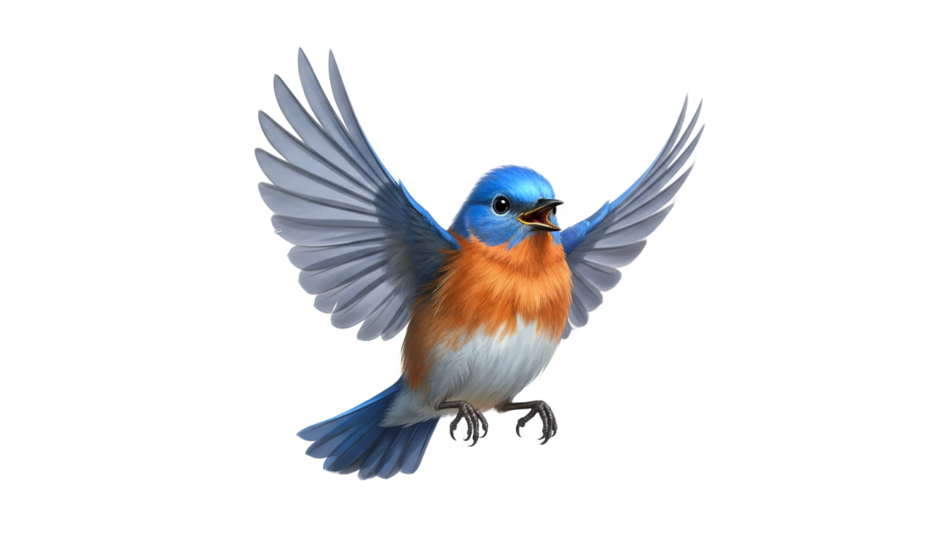 cinderella bird png PNG transparent background