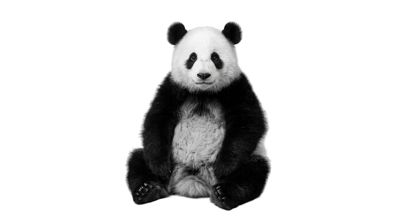 panda png black and white PNG transparent background
