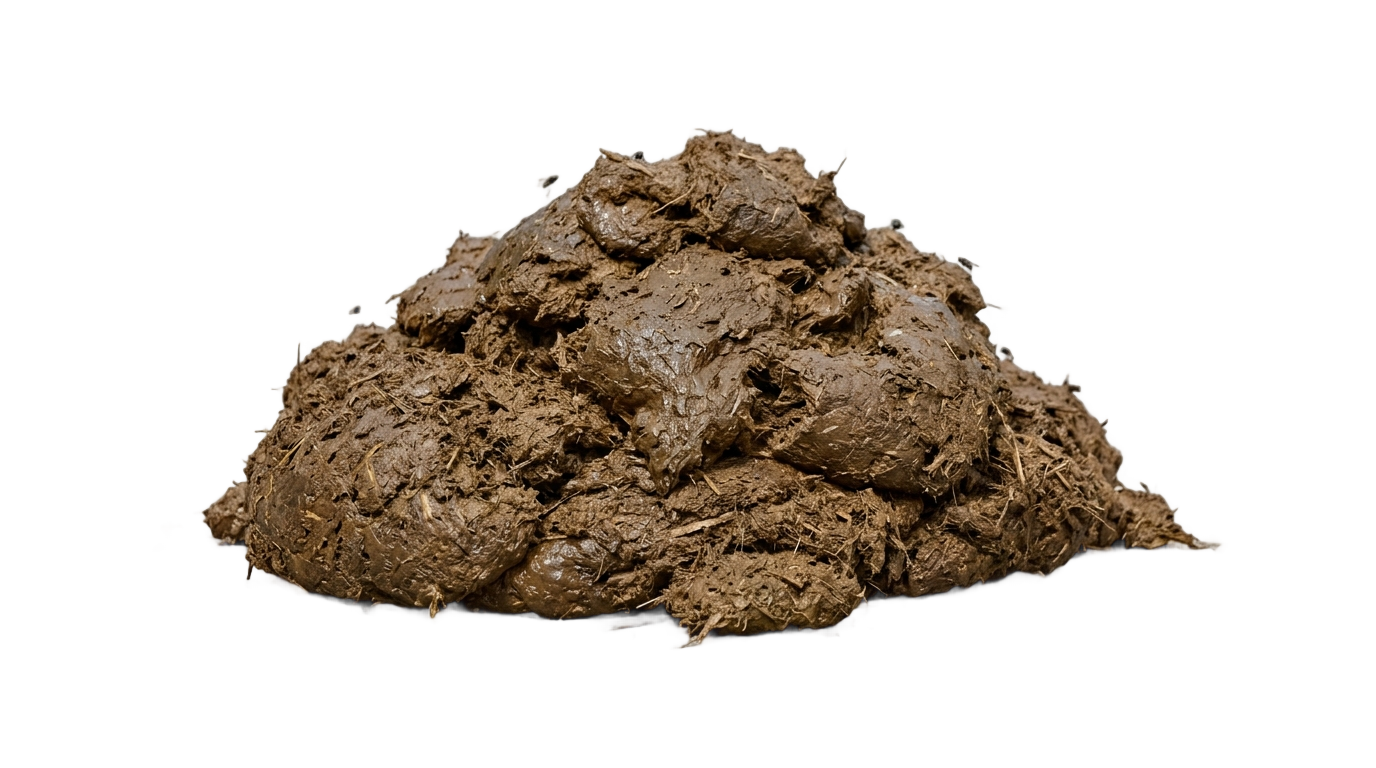 cow dung png PNG transparent background