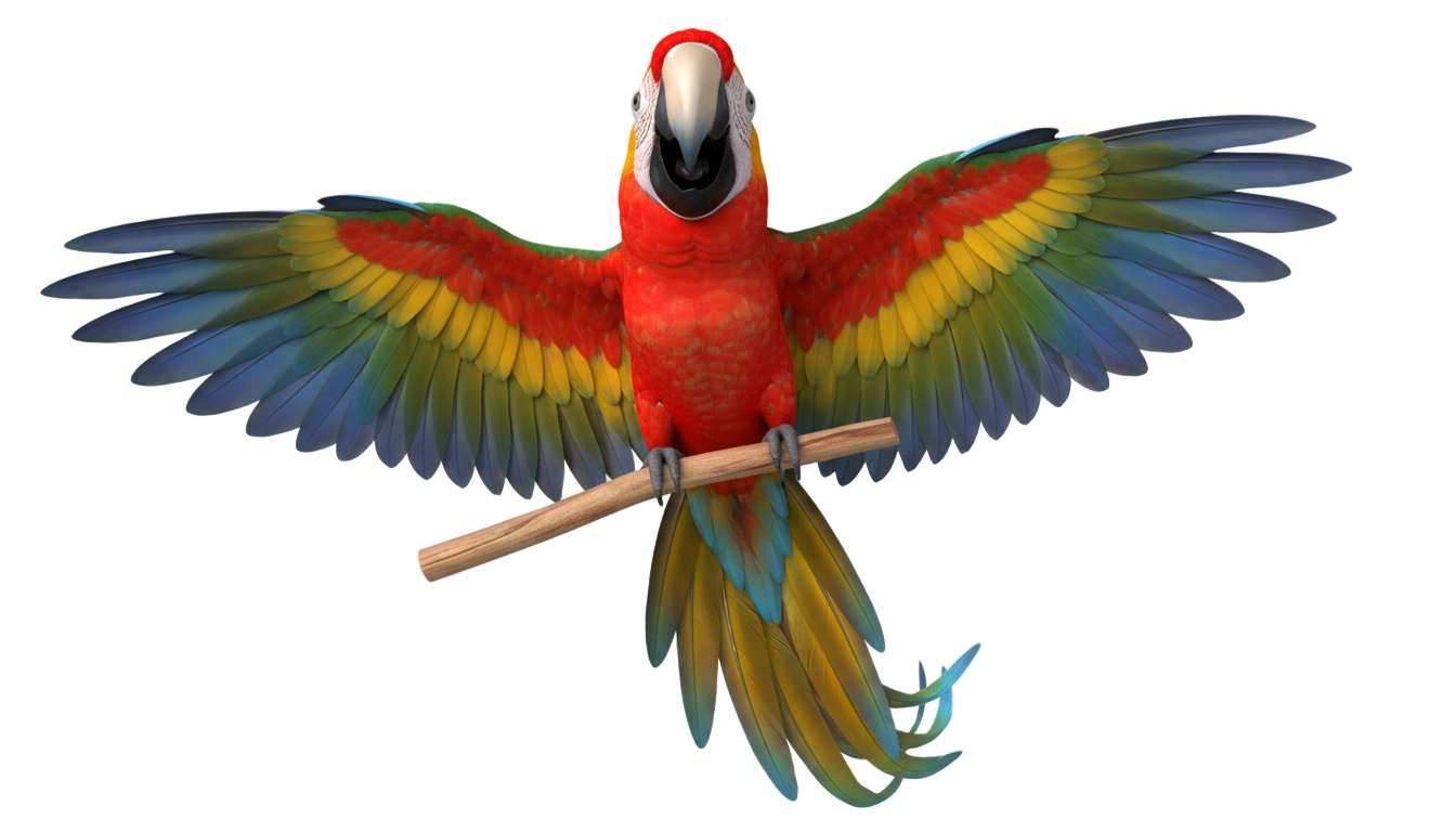 parrot clipart png PNG transparent background
