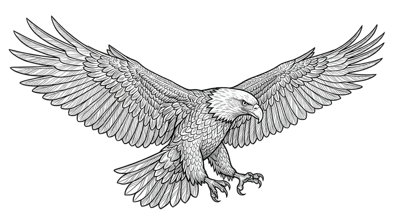 eagle line art png PNG transparent background