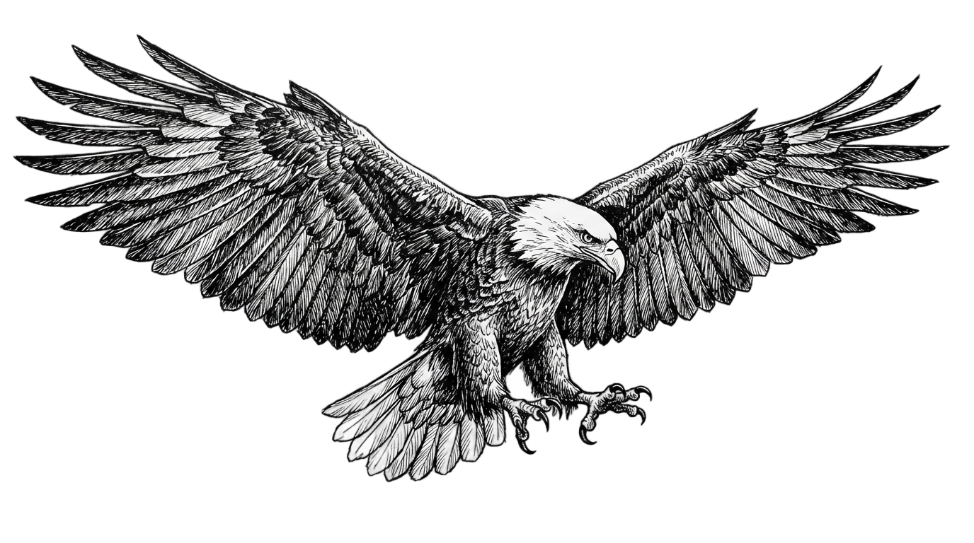 eagle png black and white PNG transparent background