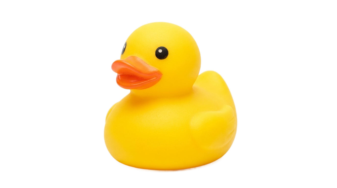 yellow duck png PNG transparent background