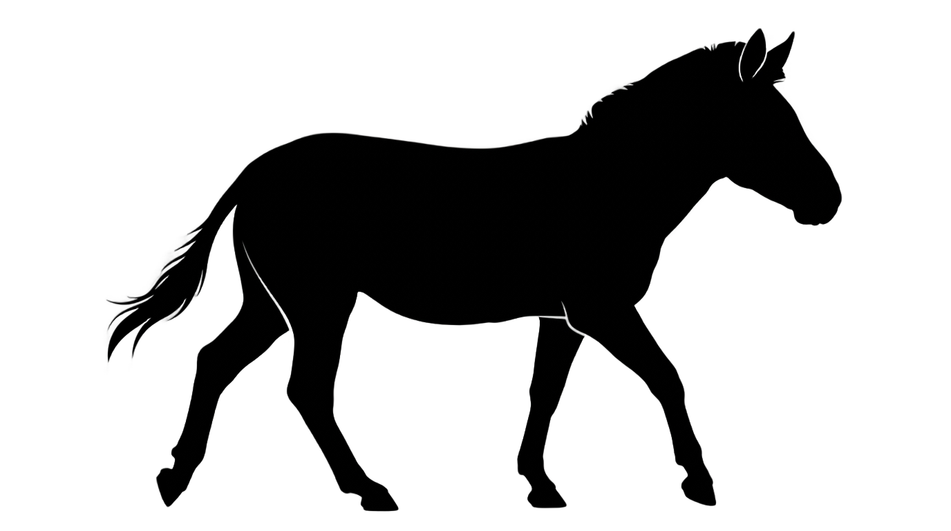 zebra silhouette png PNG transparent background