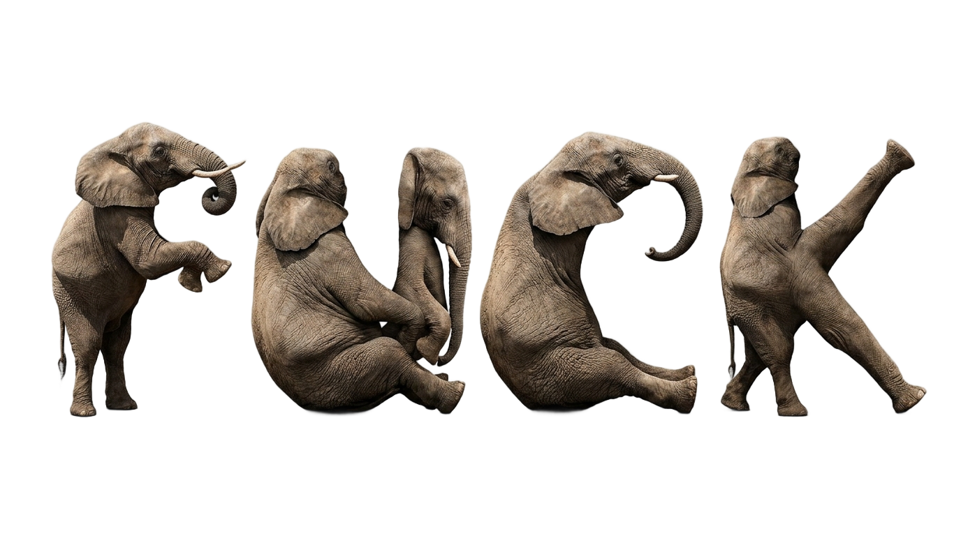 eff you see kay elephant png PNG transparent background