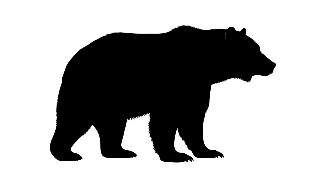 bear silhouette png PNG transparent background