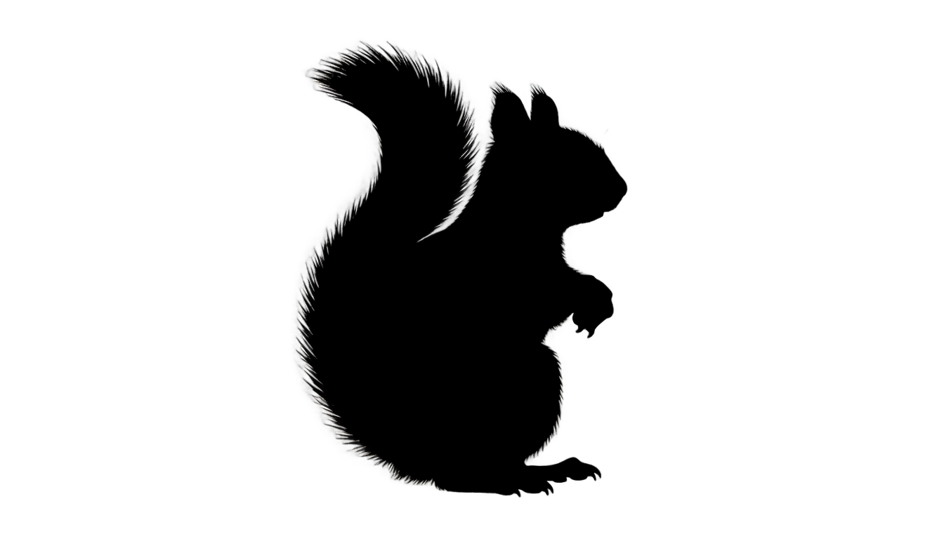 squirrel silhouette png PNG transparent background