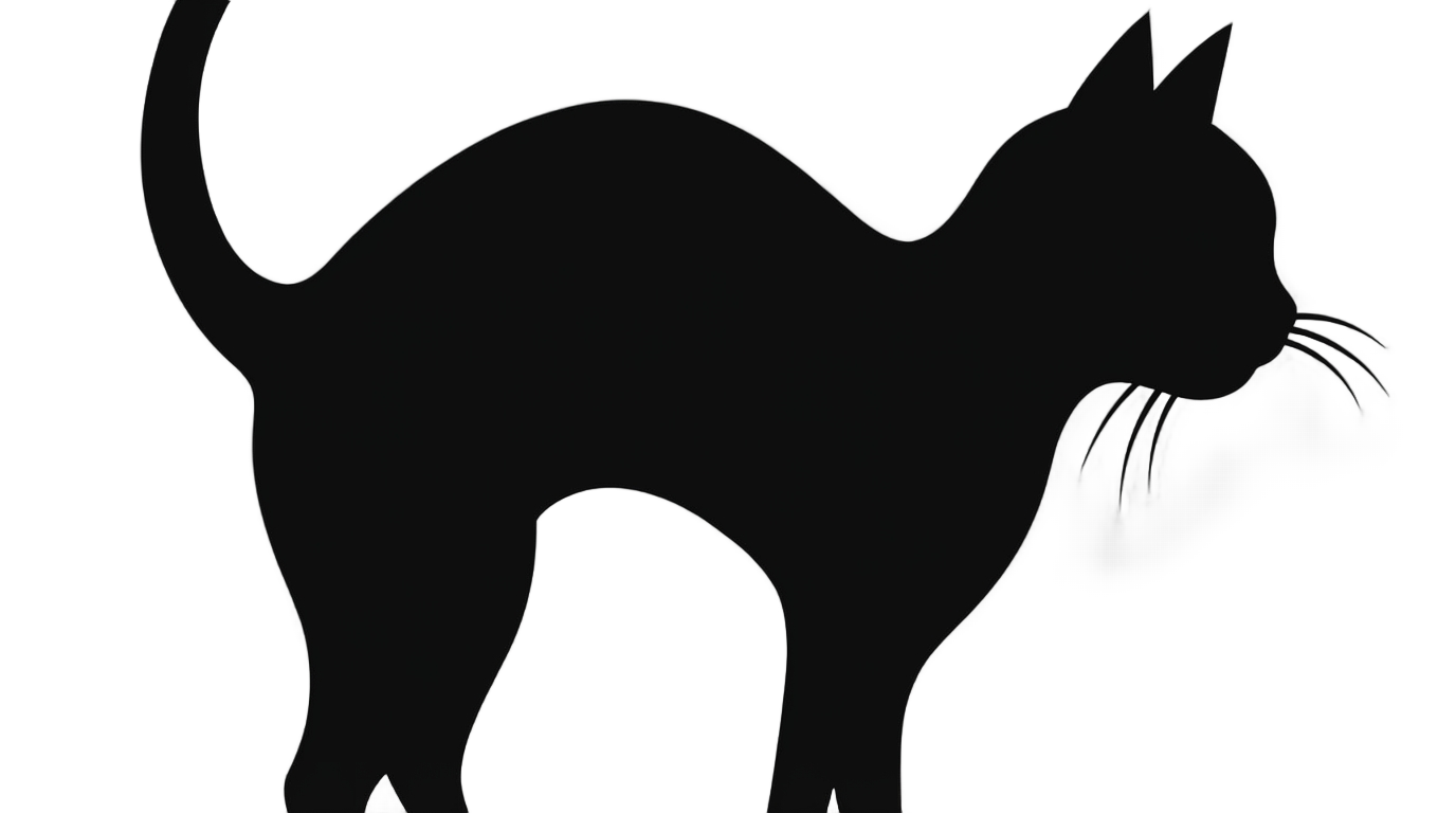 black cat silhouette png PNG transparent background