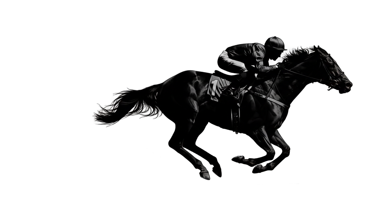 horse racing silhouette png PNG transparent background