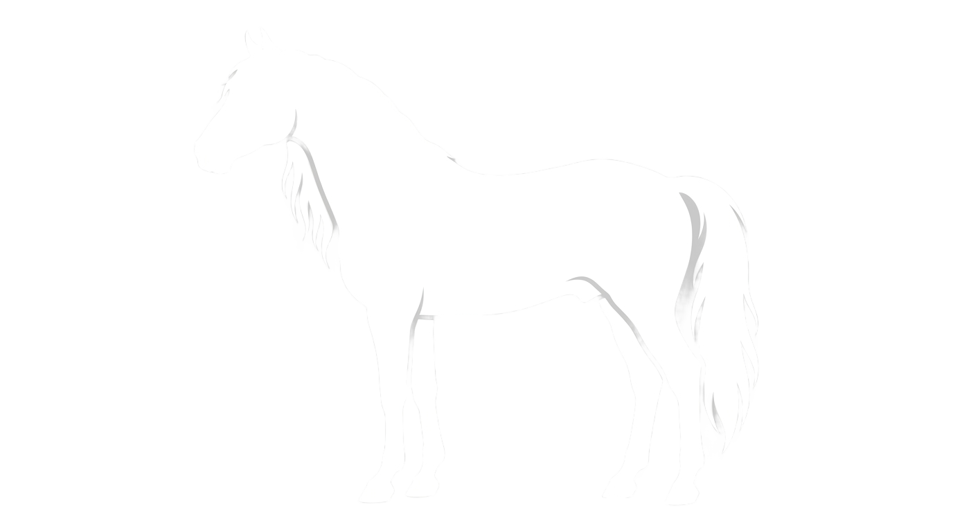 white horse silhouette png PNG transparent background
