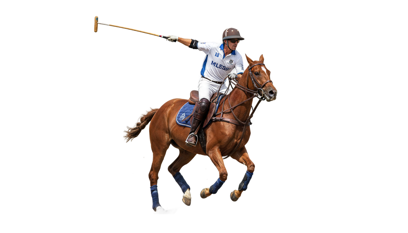 polo horse png PNG transparent background