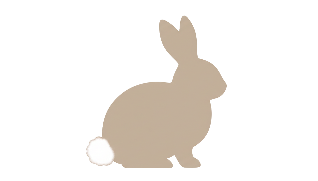 rabbit icon png PNG transparent background