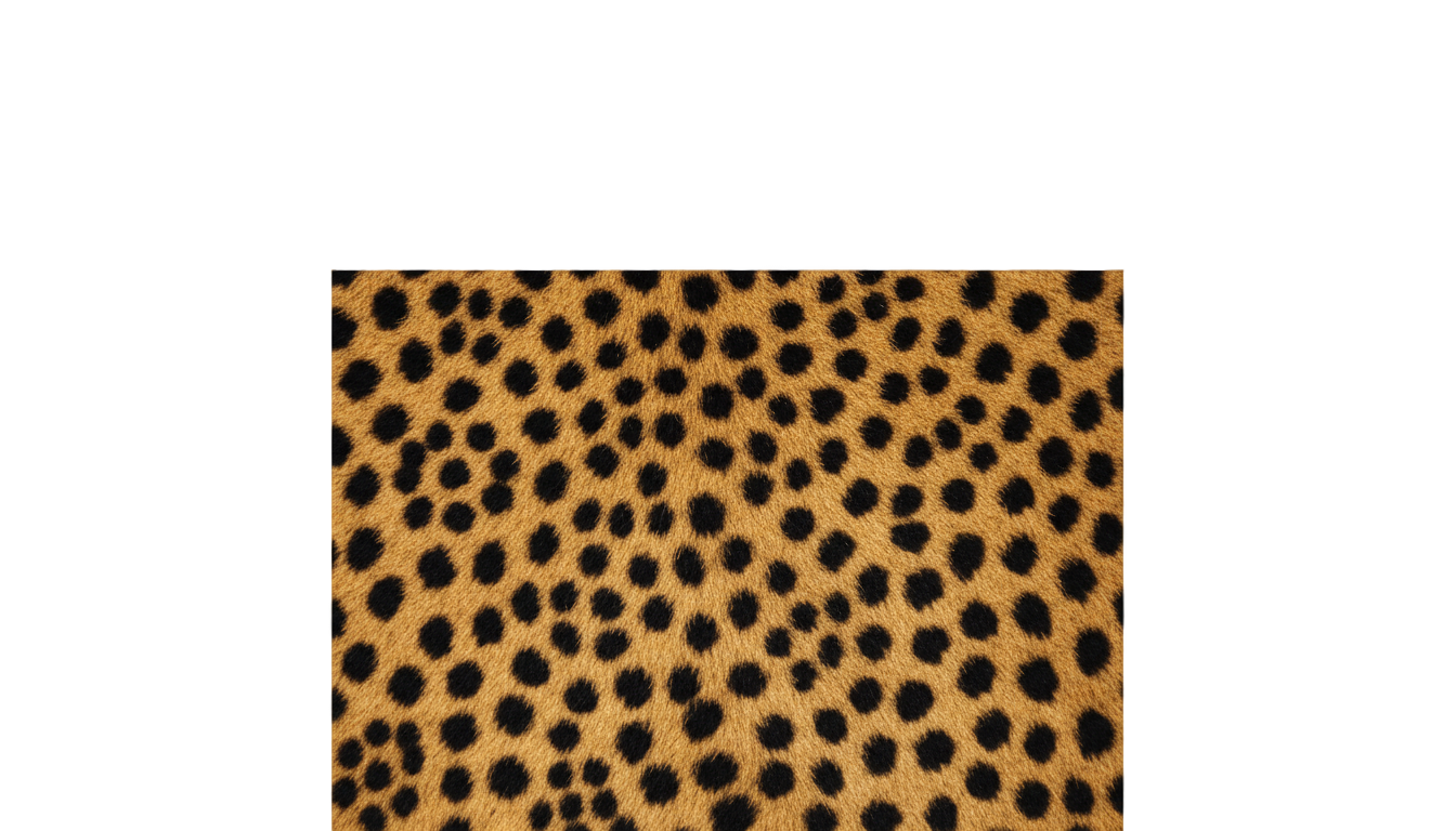 cheetah spots png PNG transparent background