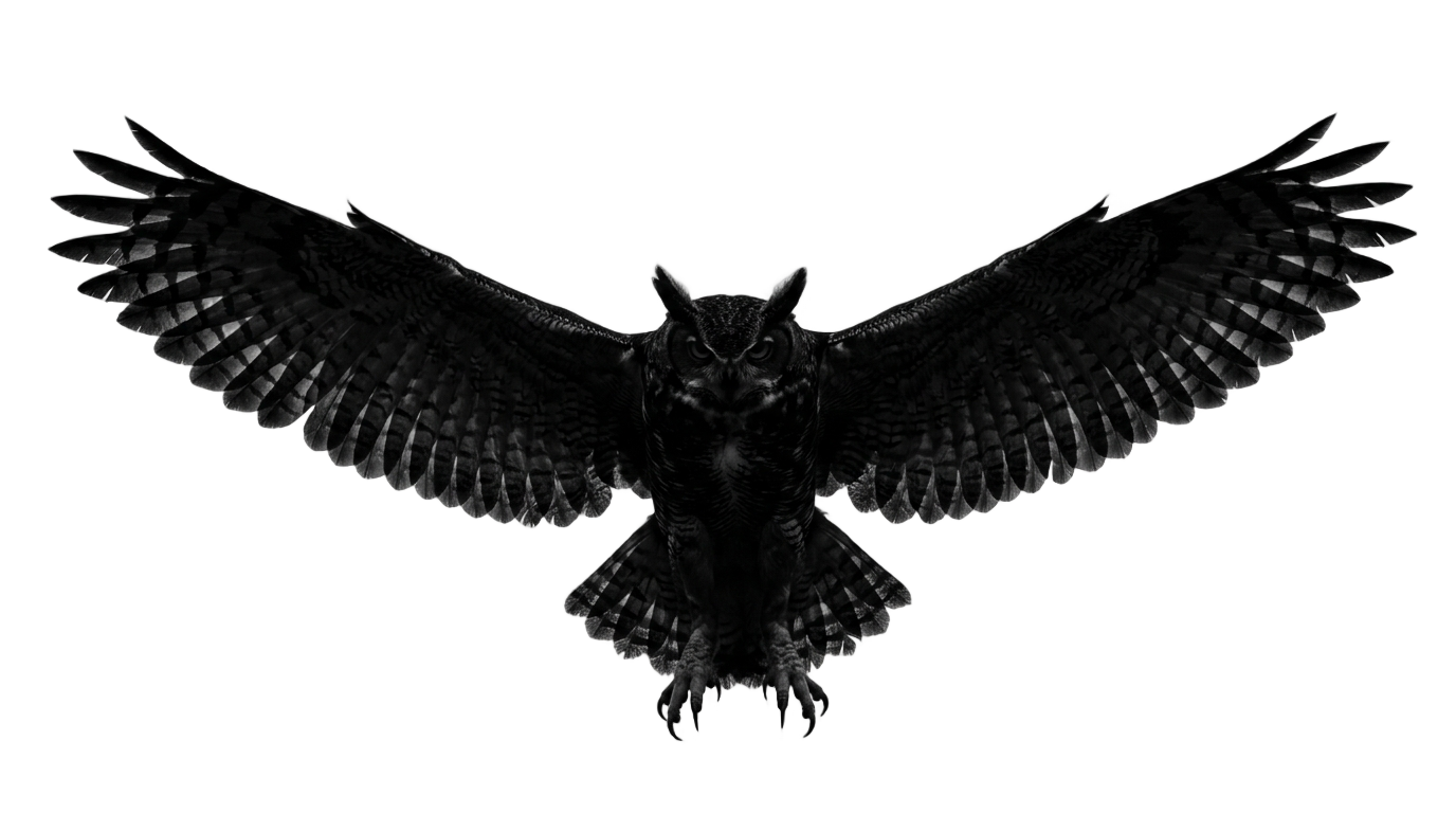 flying owl silhouette png PNG transparent background