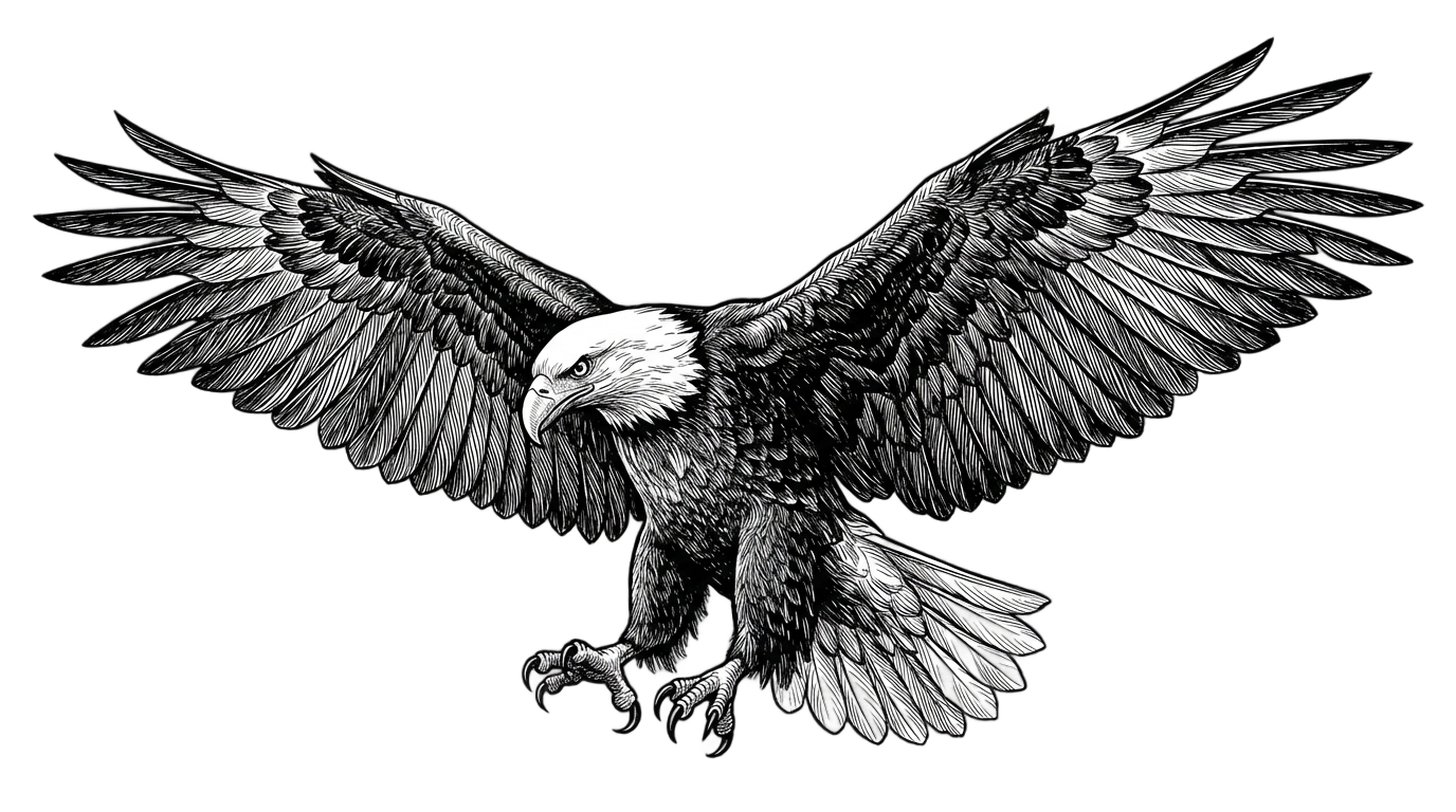 eagle png black and white PNG transparent background