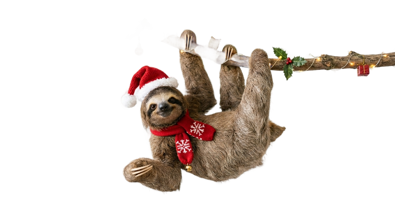 christmas sloth png PNG transparent background