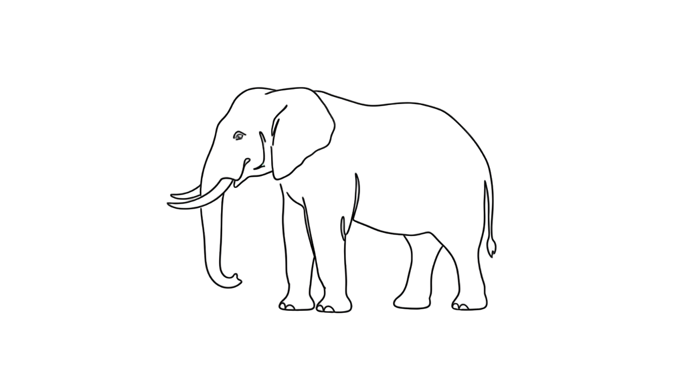 elephant outline png PNG transparent background
