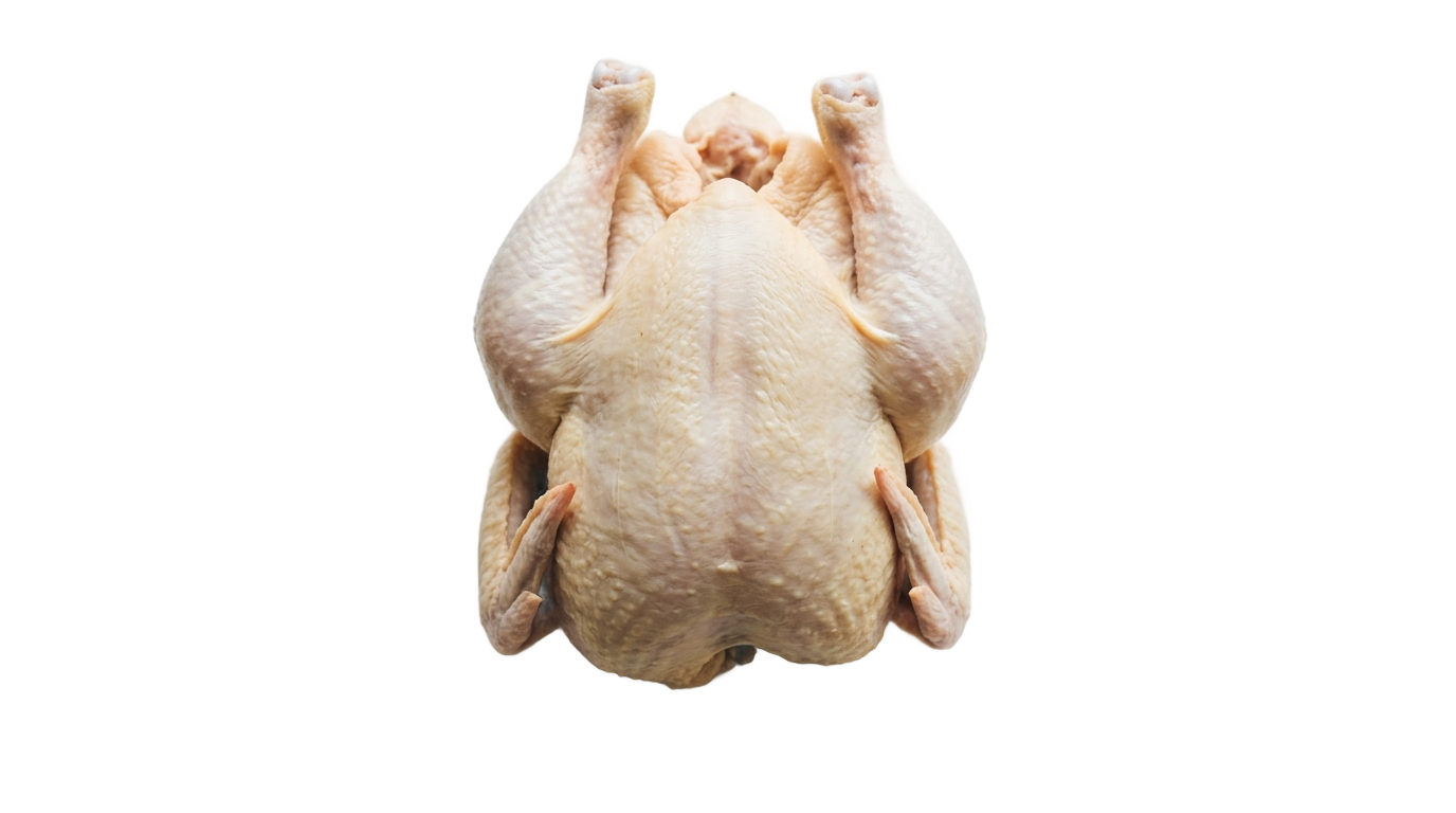 dead chicken png PNG transparent background