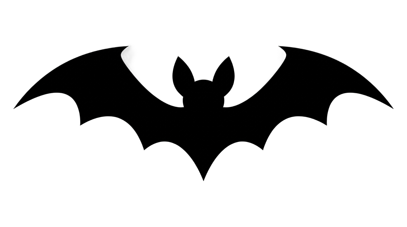 bat icon png PNG transparent background