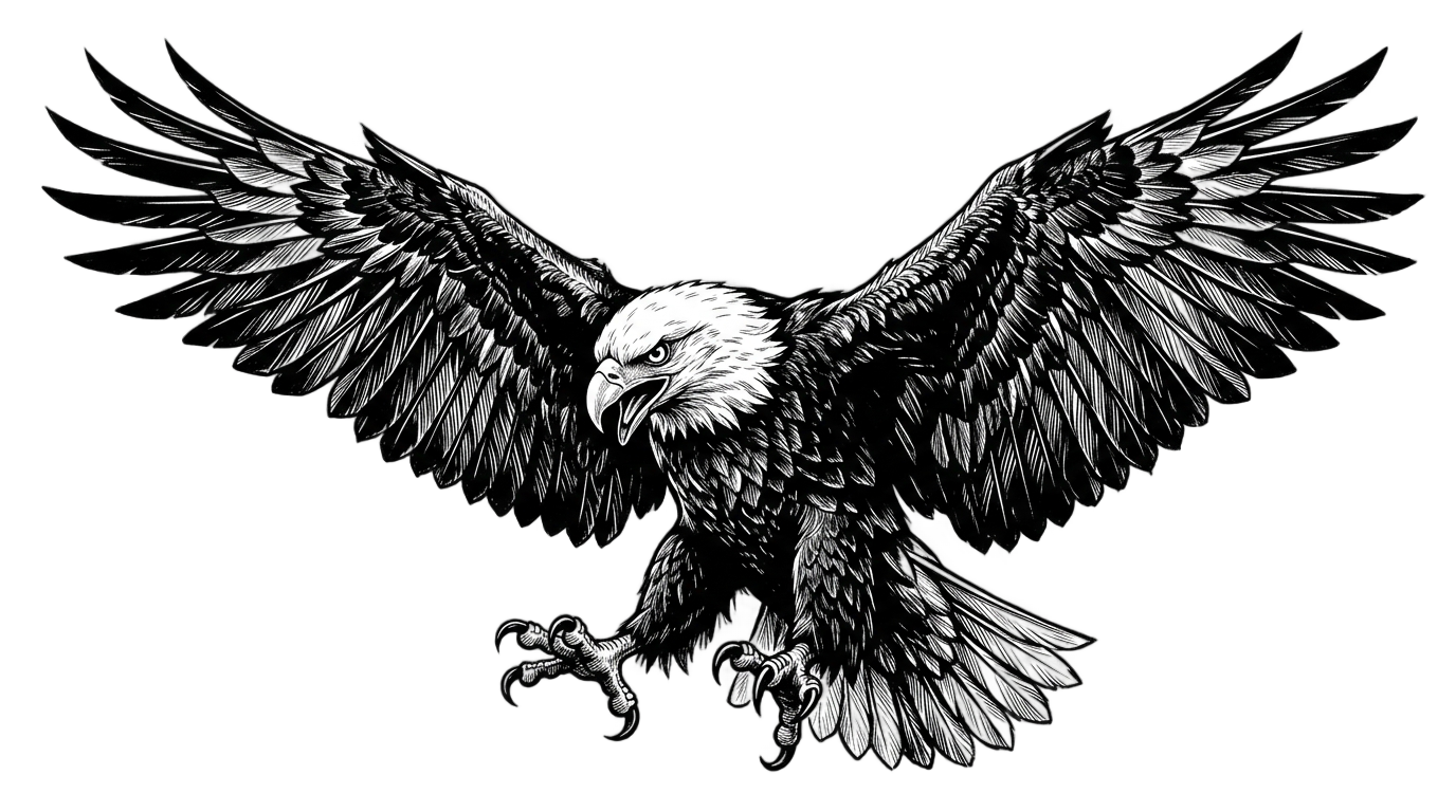eagle clipart black and white png PNG transparent background