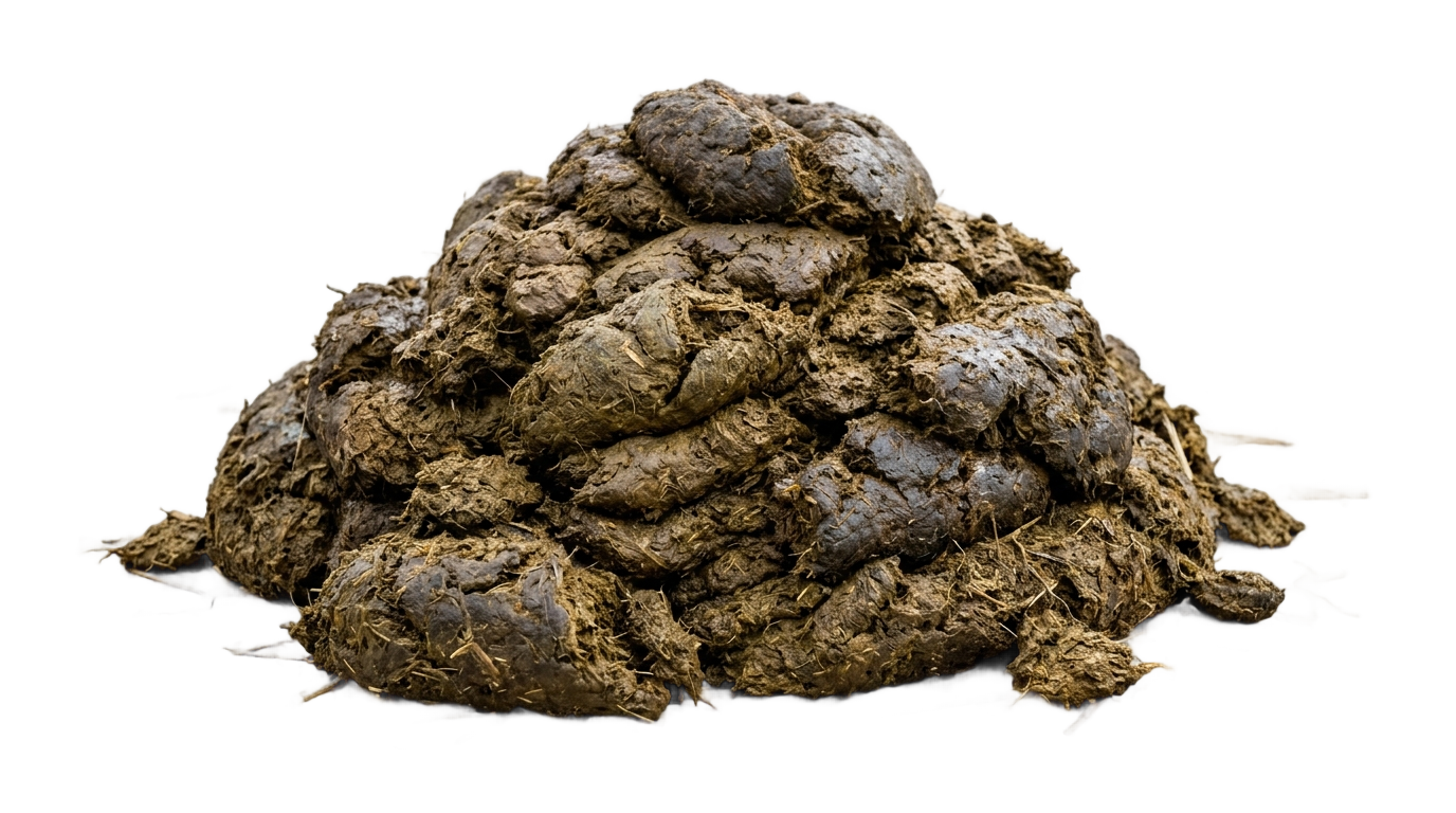 cow dung png PNG transparent background