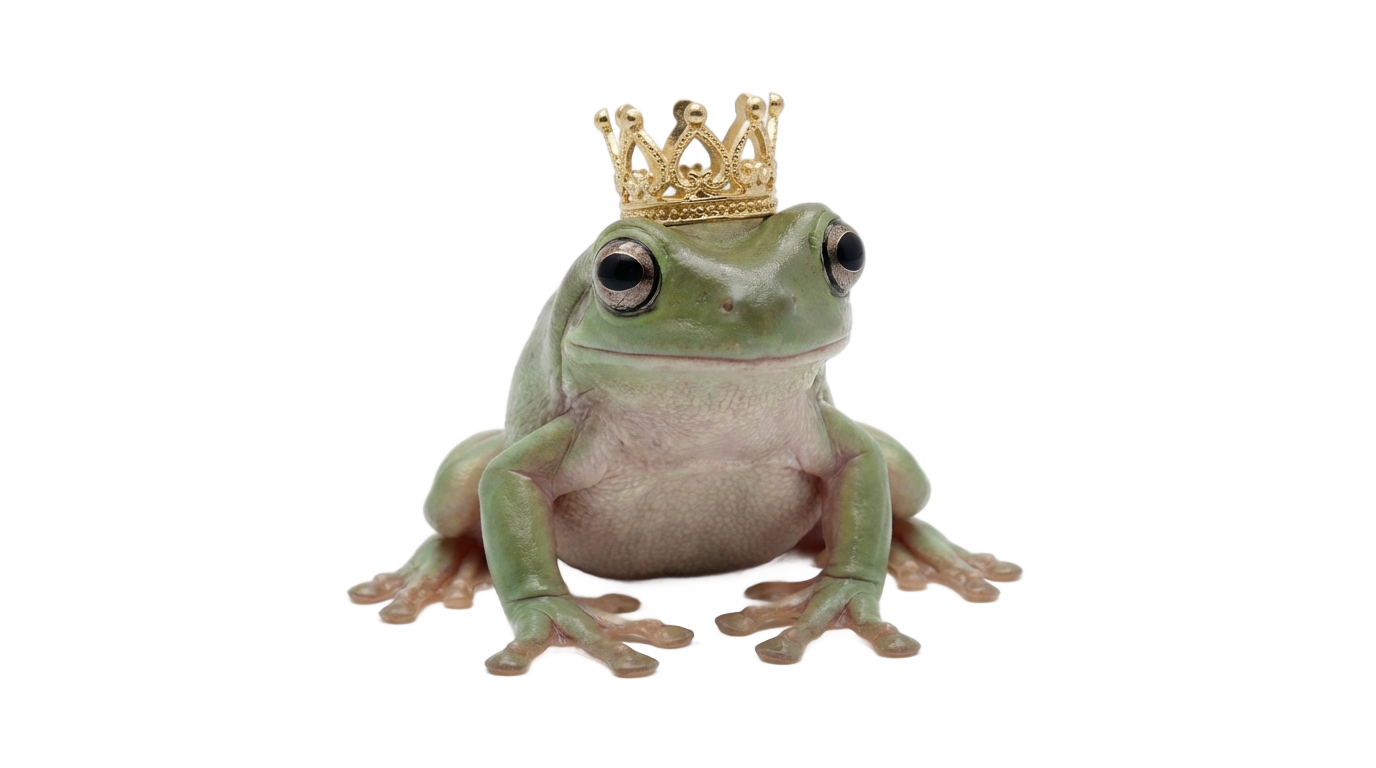 princess tiana frog png PNG transparent background