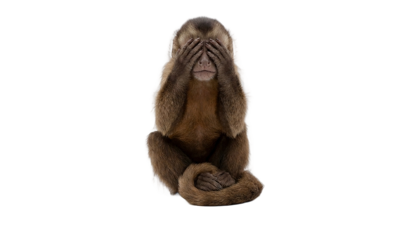 see no evil monkey png PNG transparent background