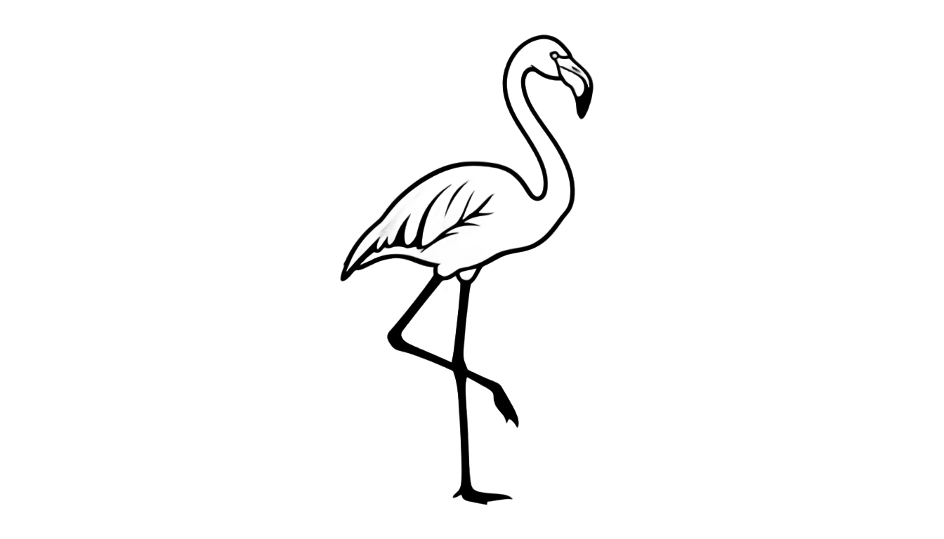 flamingo outline png PNG transparent background