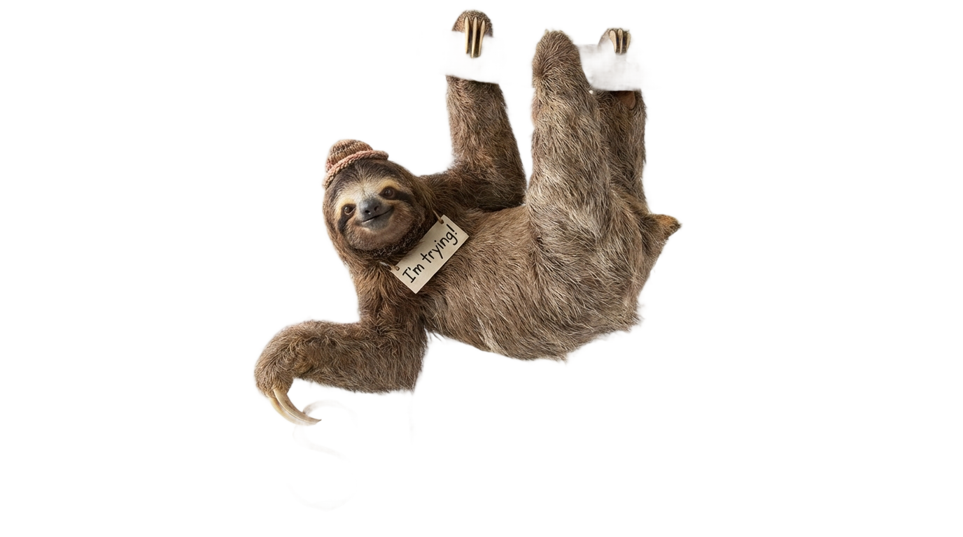 eff you see kay why oh you sloth png PNG transparent background