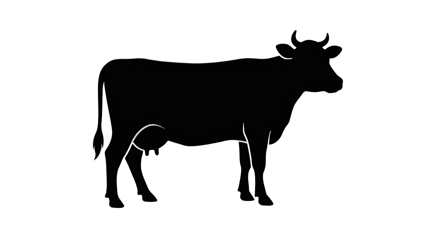 cow silhouette png PNG transparent background