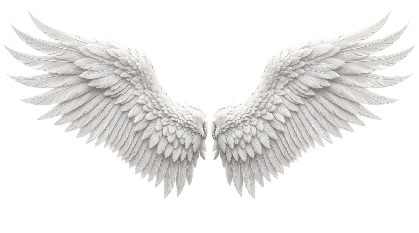 gorilla tag angel wings png PNG transparent background