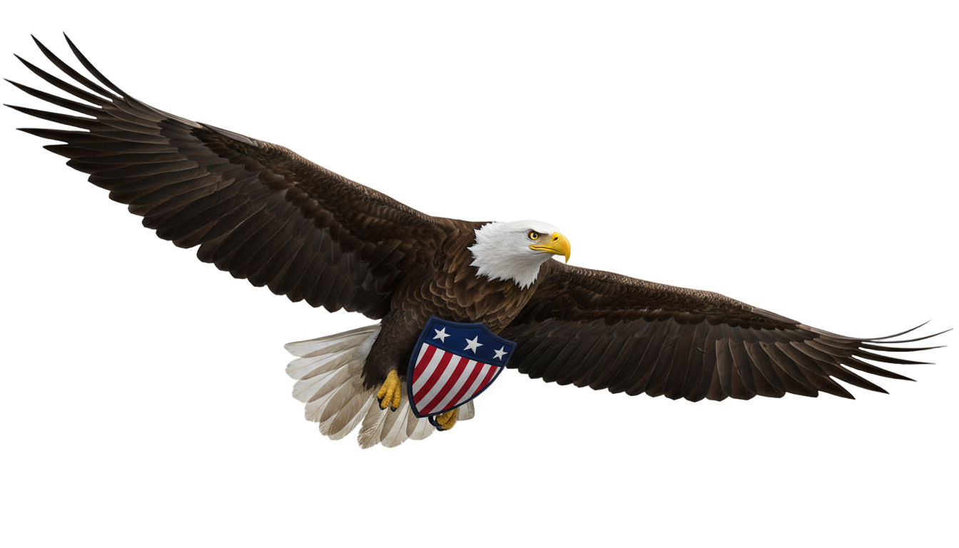 patriotic eagle png PNG transparent background