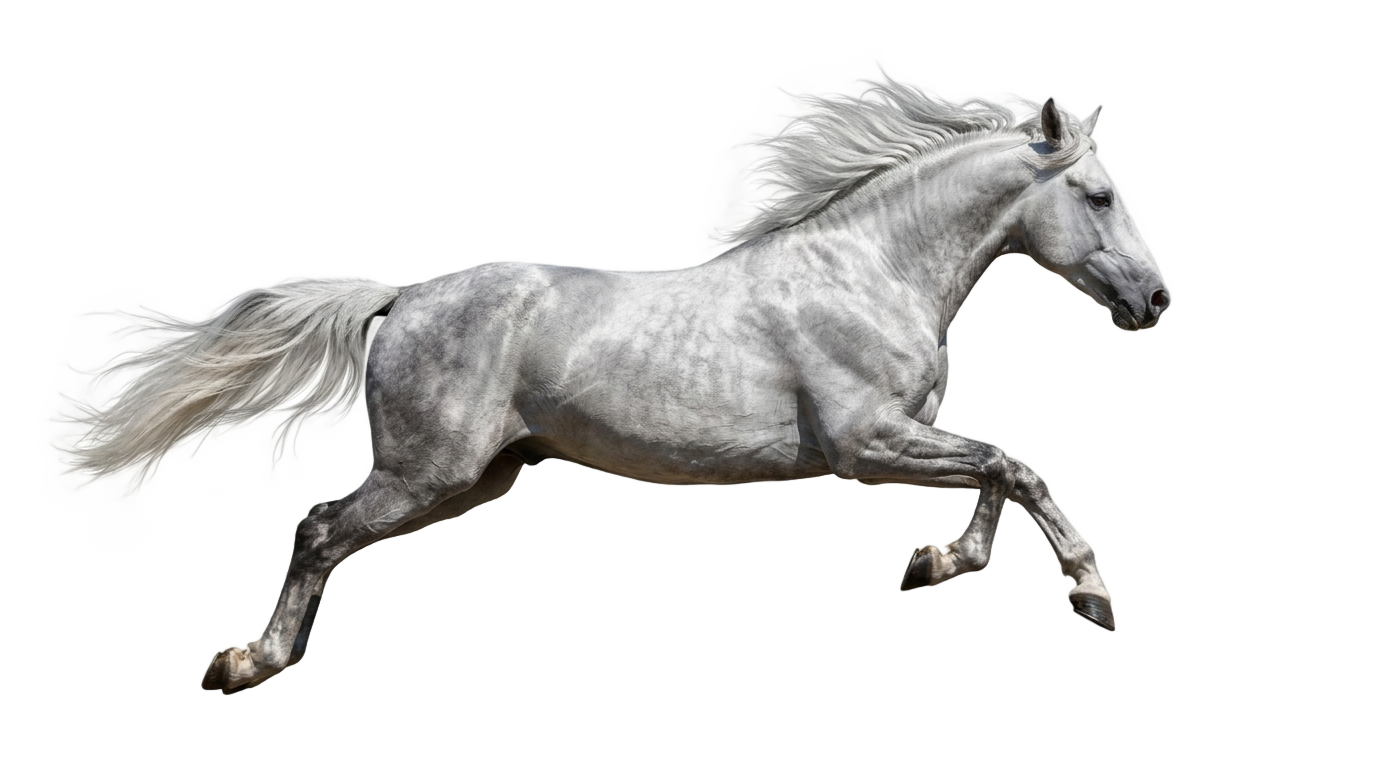 ford horse logo png PNG transparent background