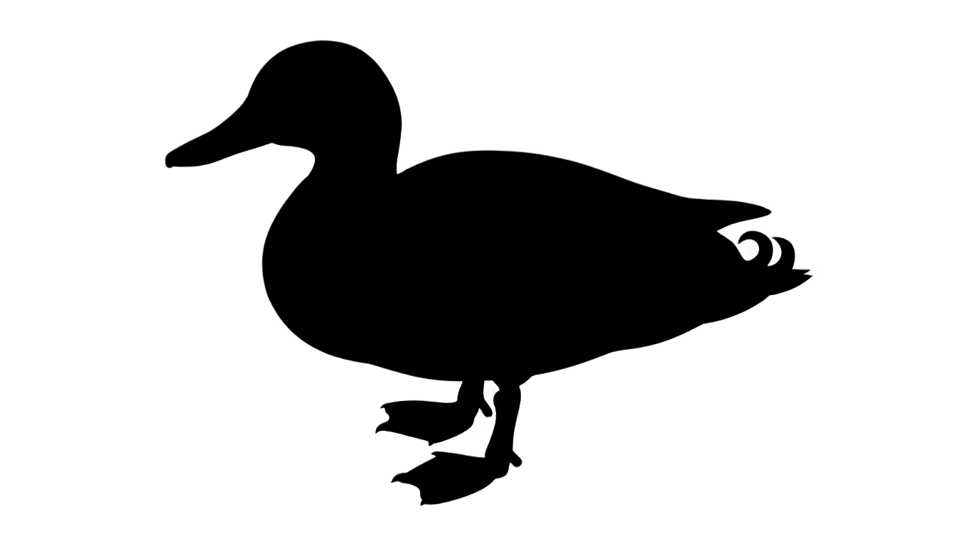 duck silhouette png PNG transparent background