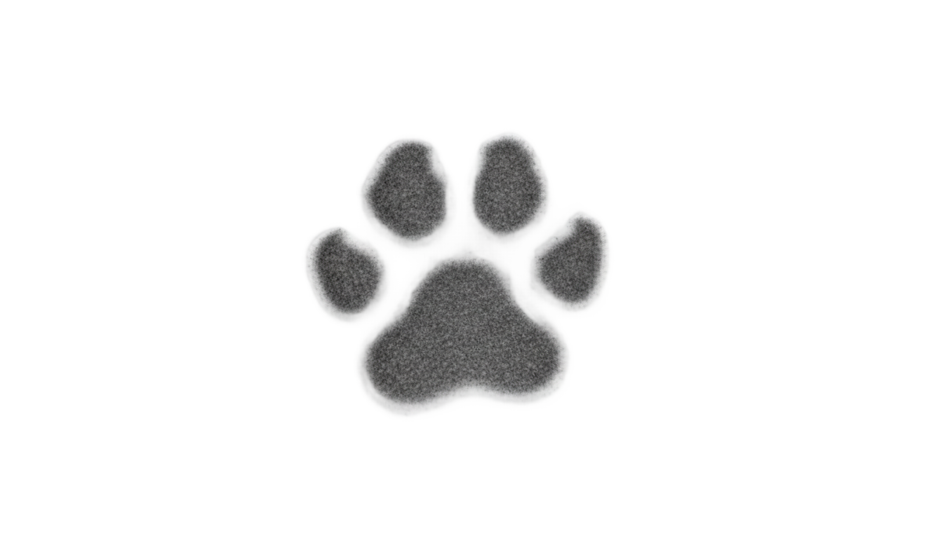 cat paw print png PNG transparent background