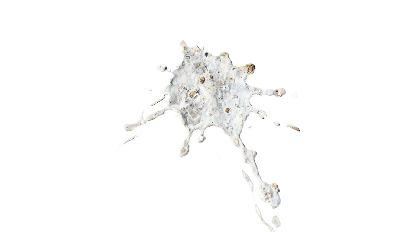 bird poop png PNG transparent background