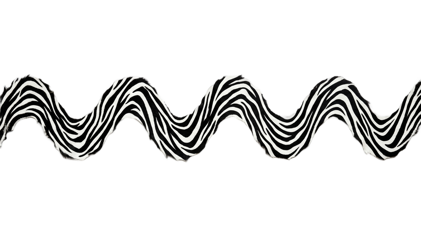 zebra line png PNG transparent background