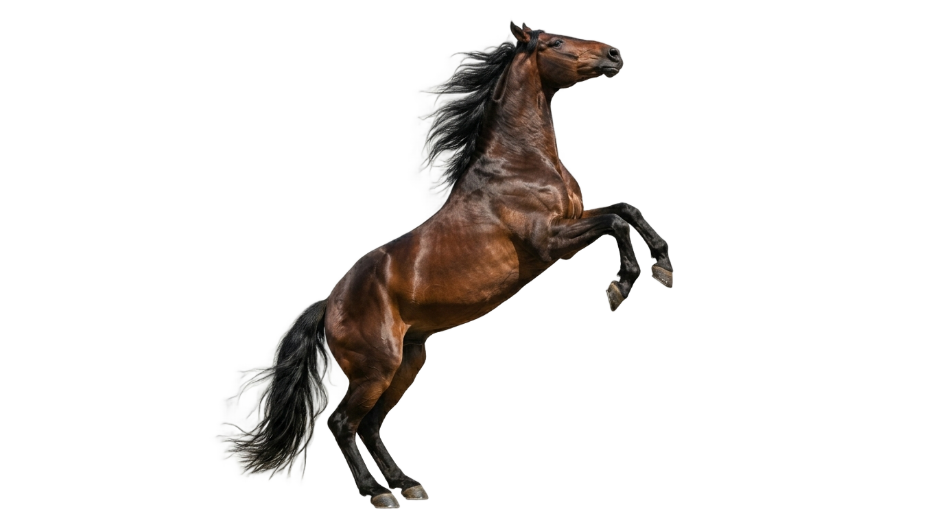 horse power png PNG transparent background