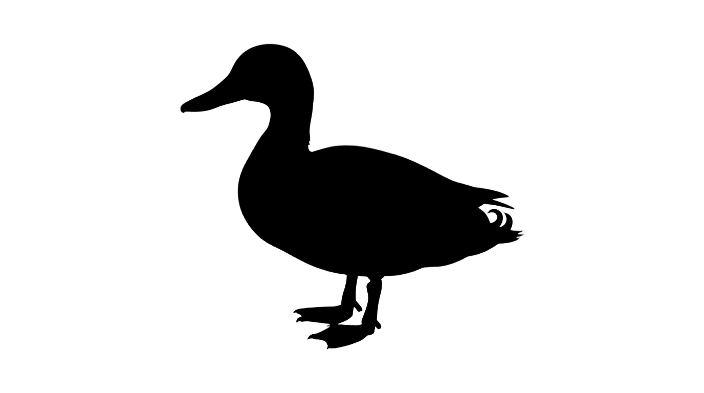 duck black and white png PNG transparent background